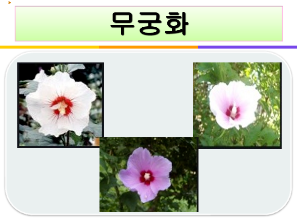 s.png