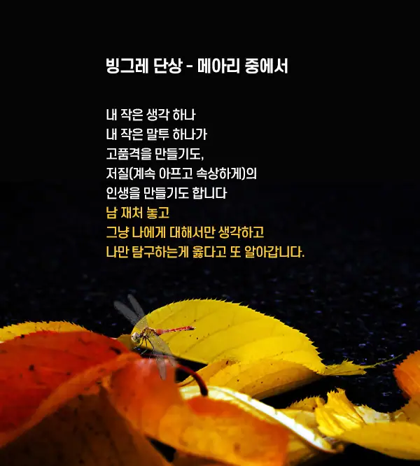 005.webp
